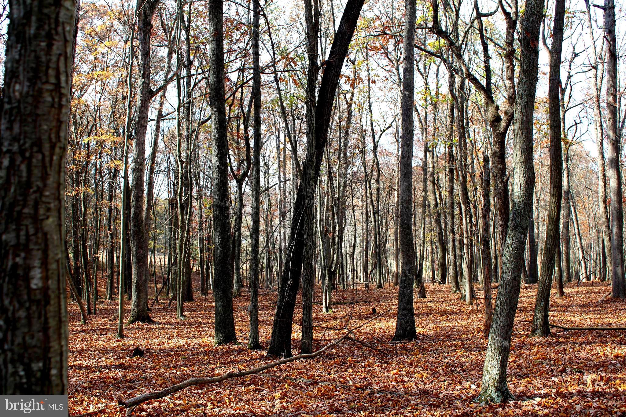 MEADOW HILLS - Residential