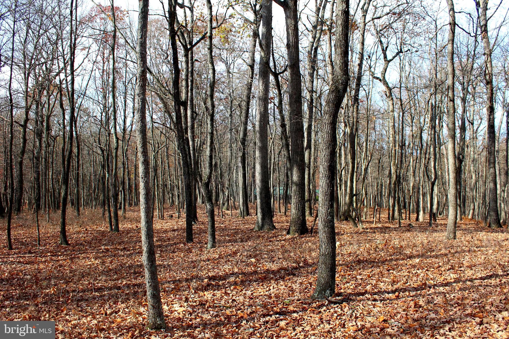 MEADOW HILLS - Residential