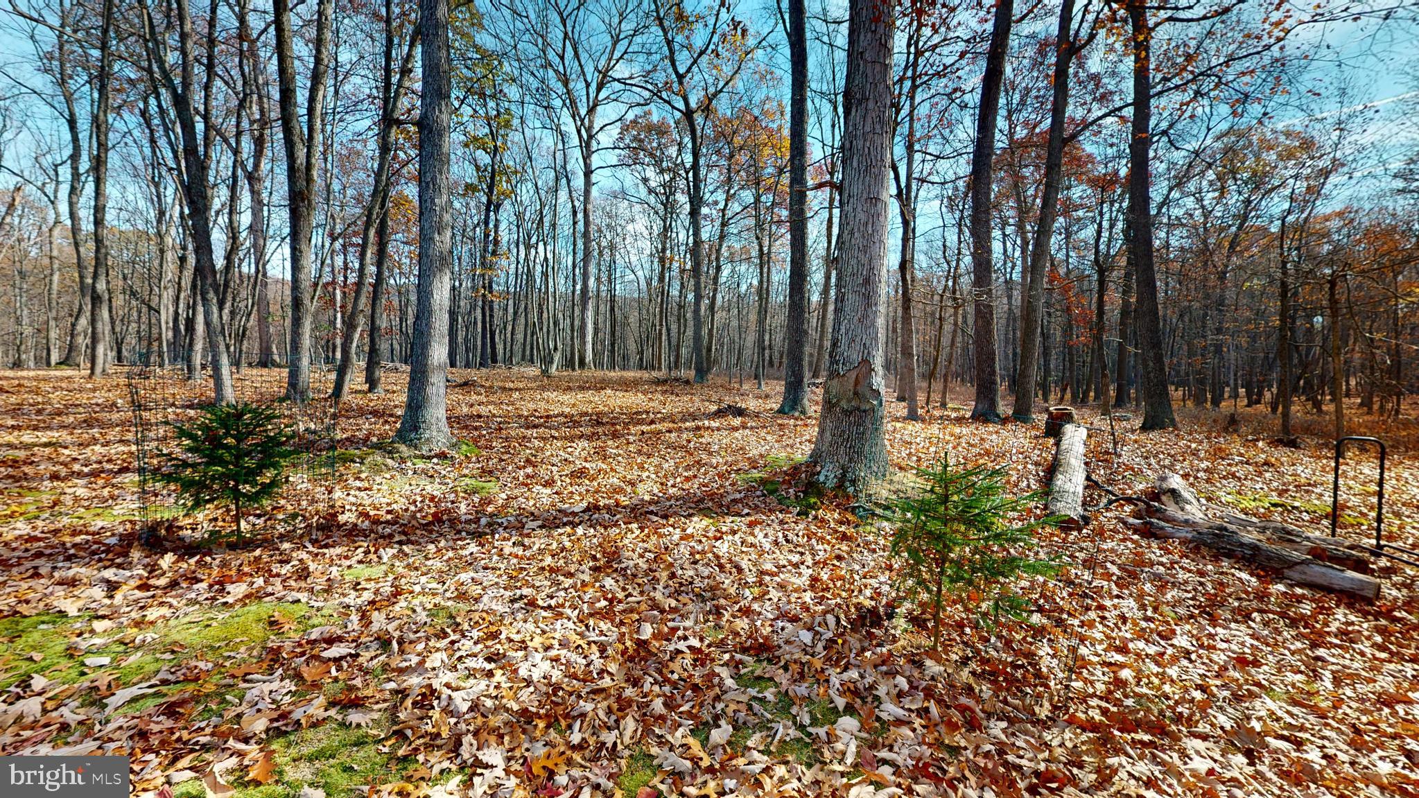 MEADOW HILLS - Residential