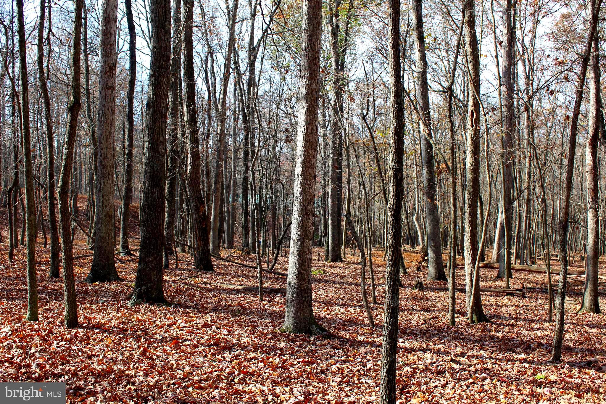 MEADOW HILLS - Residential