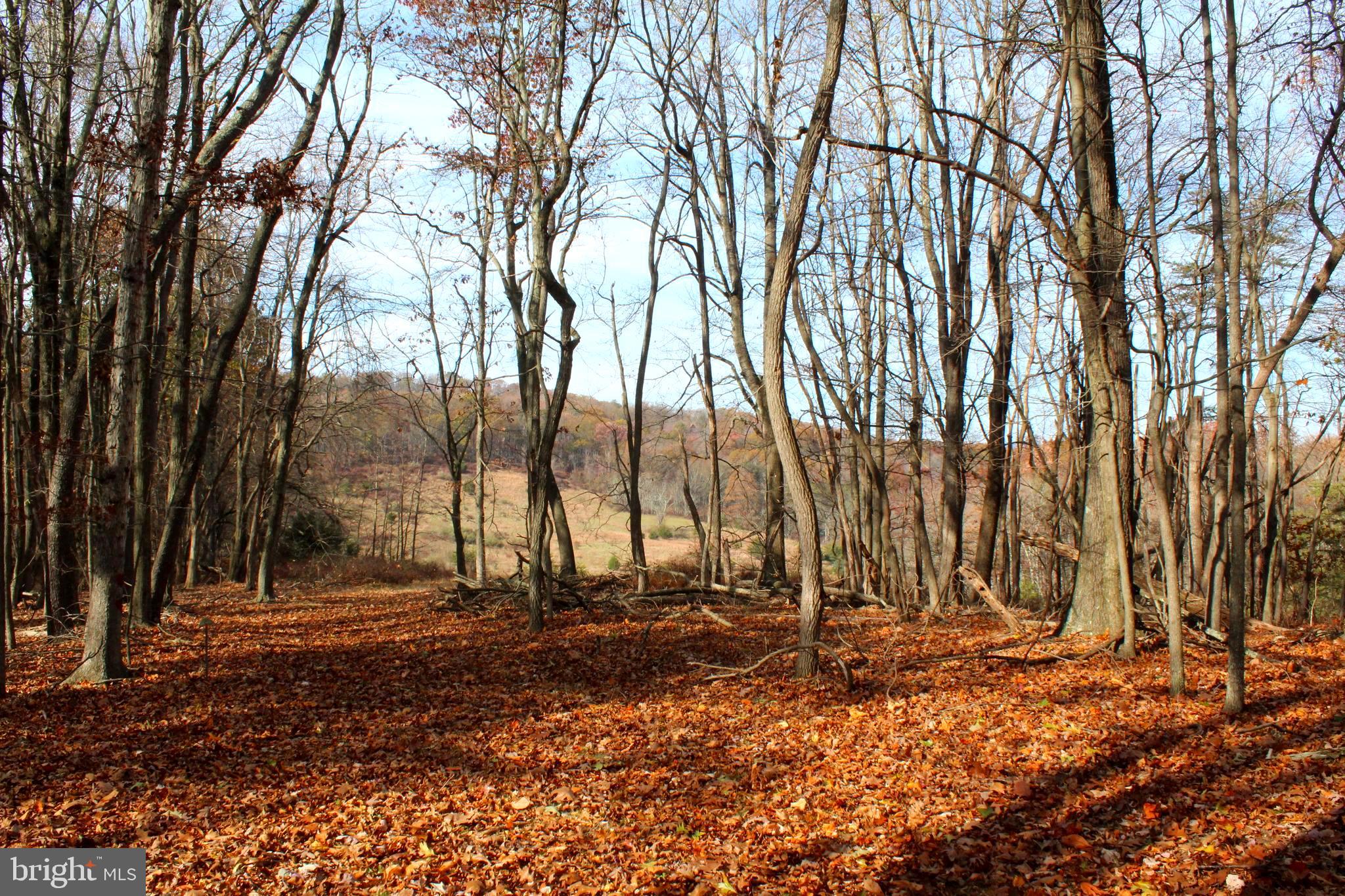 MEADOW HILLS - Residential