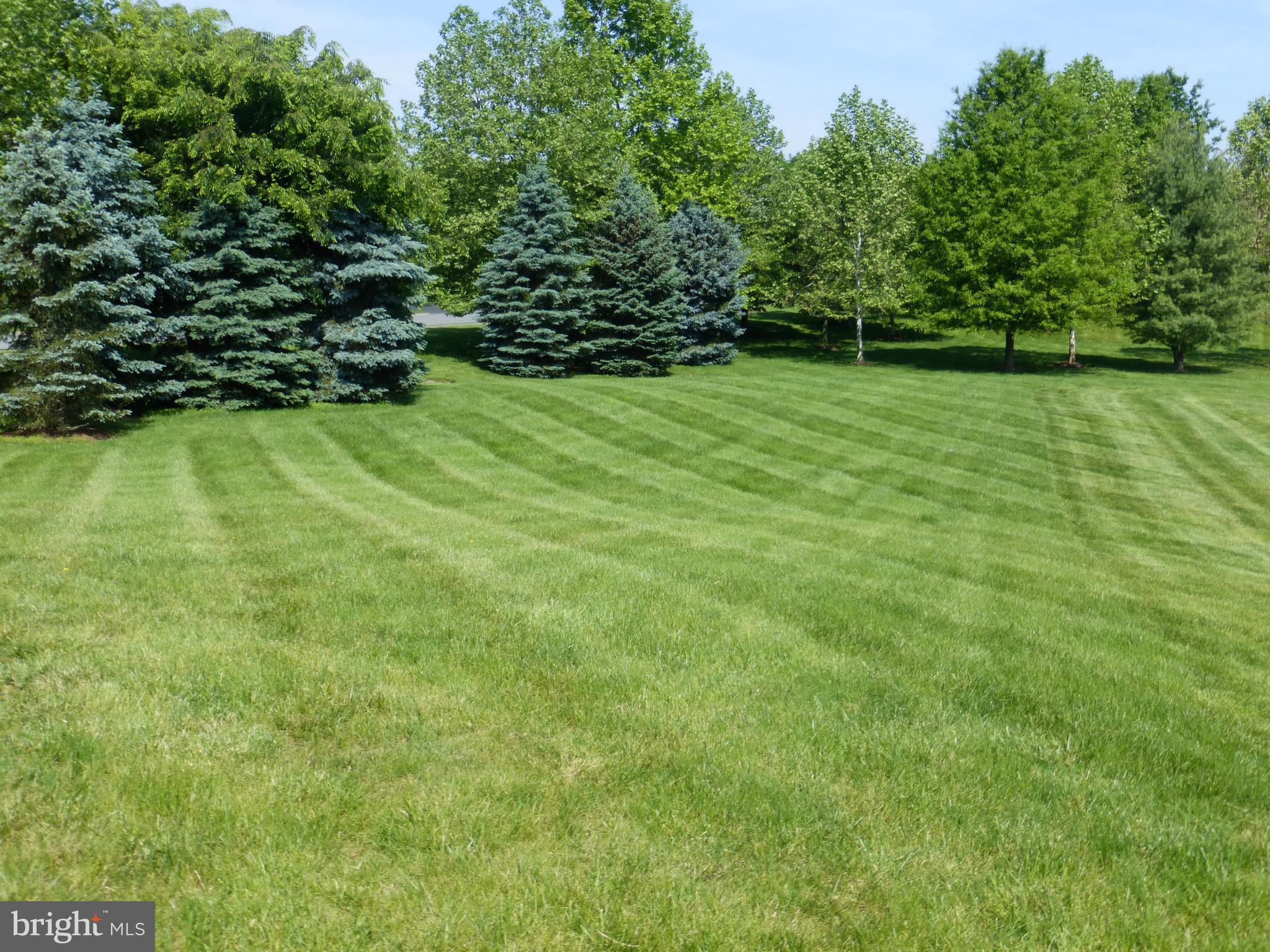 RASPBERRY FALLS - Land