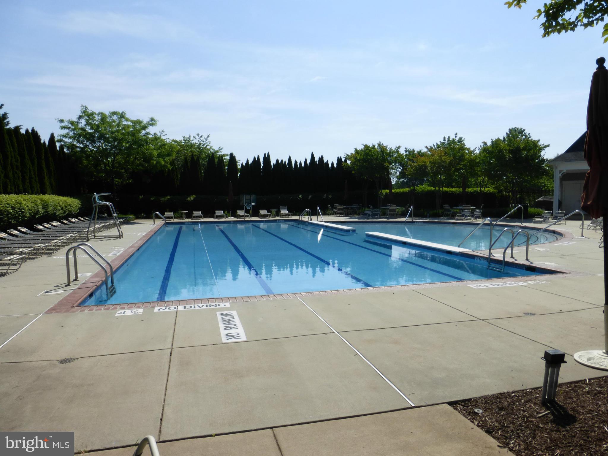 RASPBERRY FALLS - Land