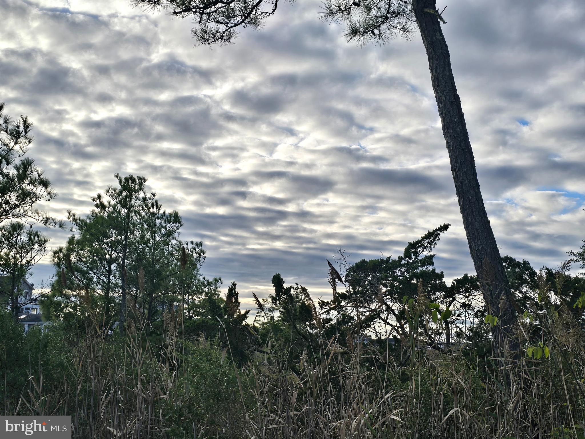 CEDAR LANDING - Residential