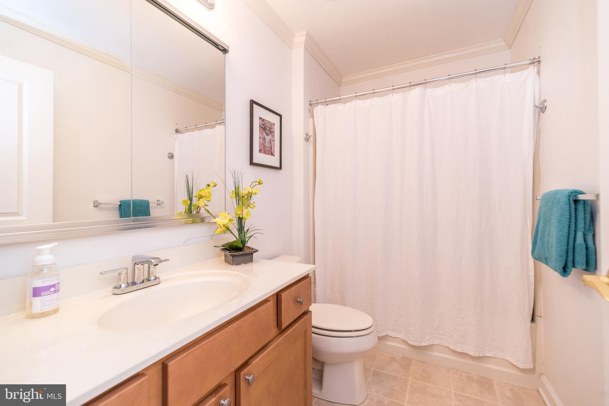STATION SQ AT AMBLER - Residential