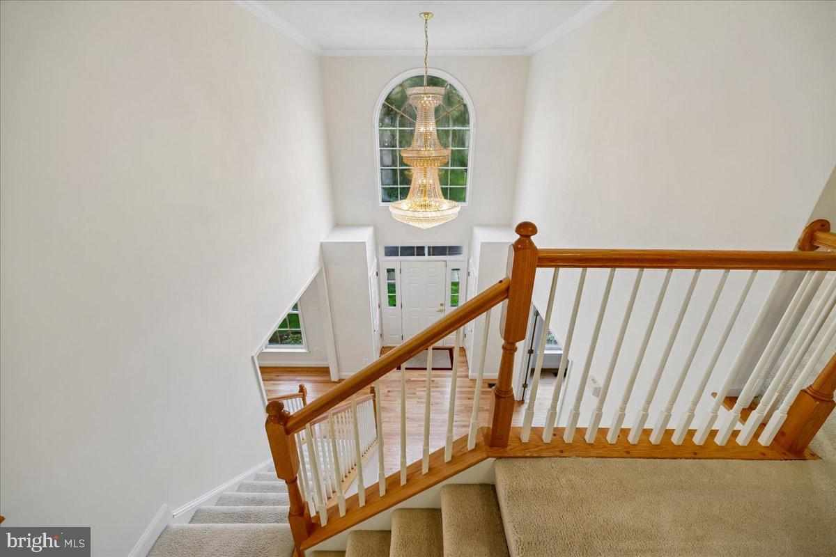 NATALIE ESTATES - Residential