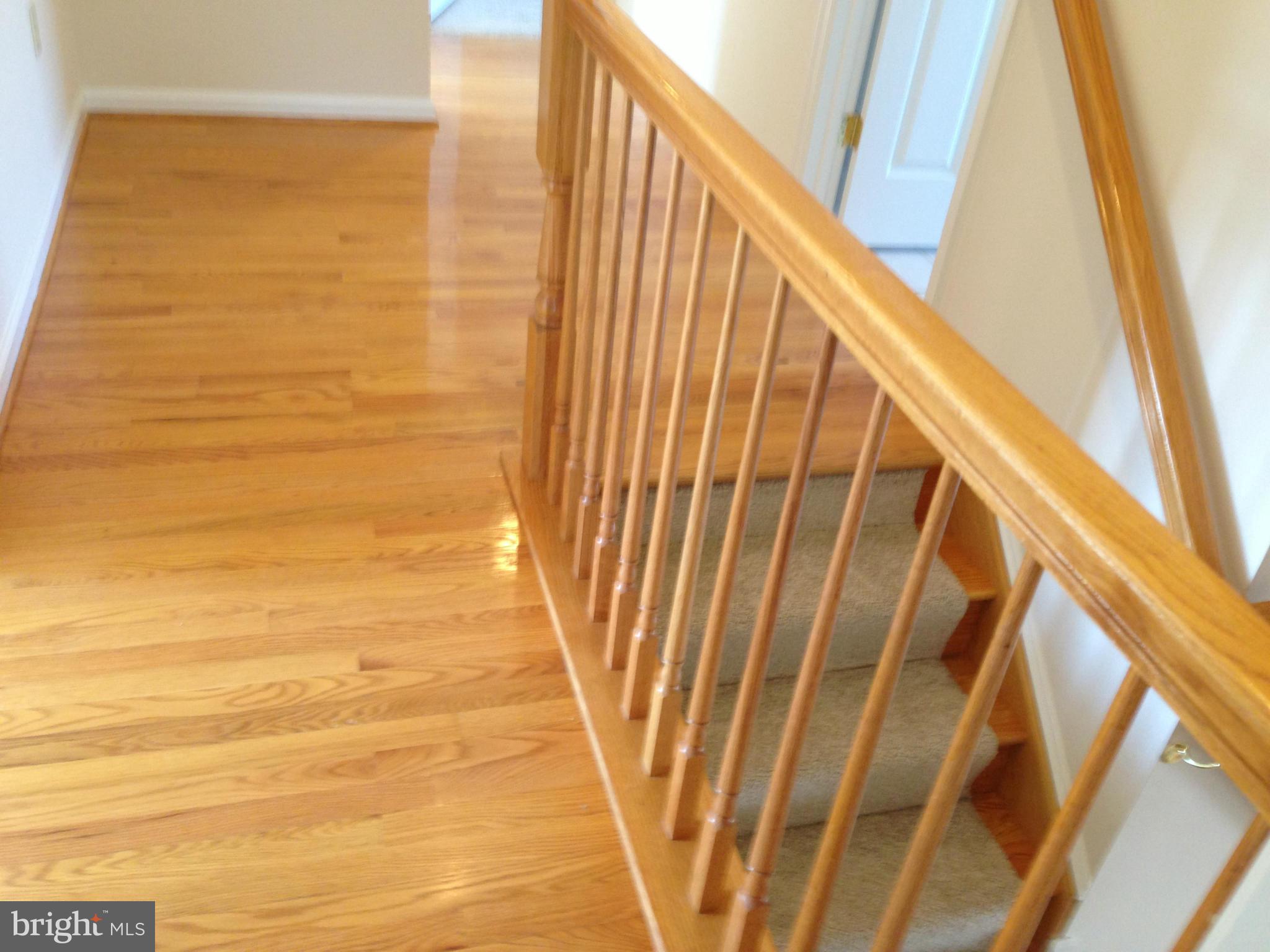 CANTER ESTATES - Residential