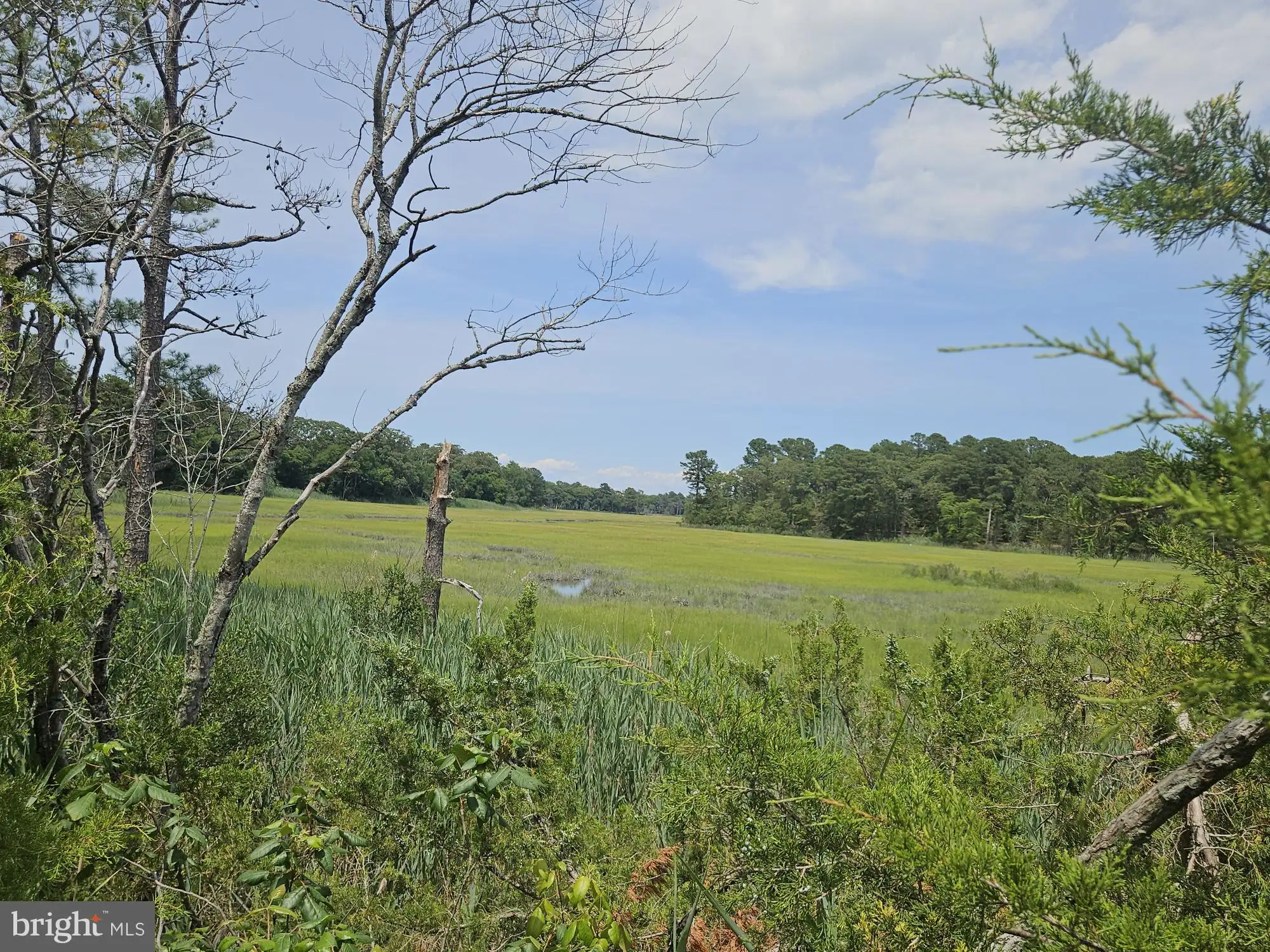Additional image 70 of 20 Rusty Anchor Drive, Rehoboth Beach, DE 19971