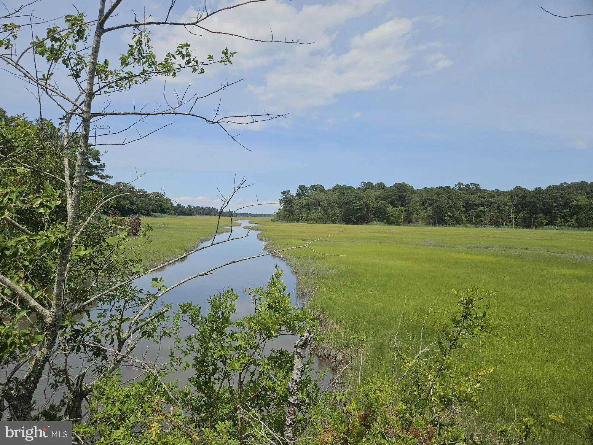 Additional image 69 of 20 Rusty Anchor Drive, Rehoboth Beach, DE 19971