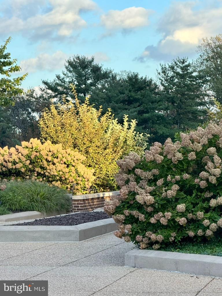 REGENCY AT MCLEAN - Residential