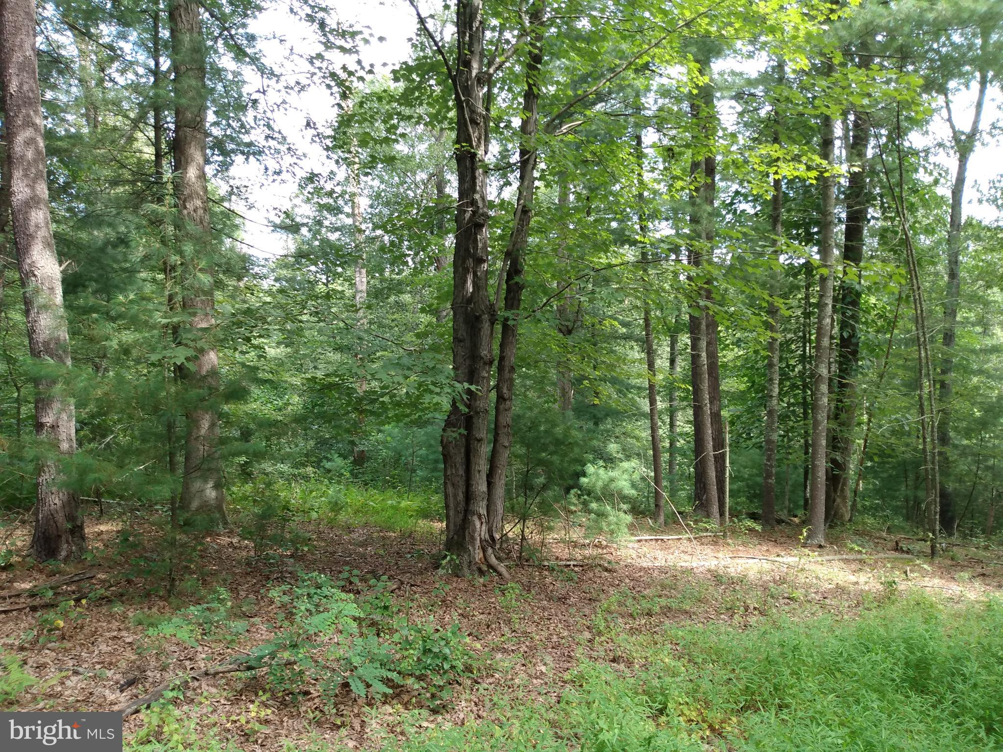 NONE AVAILABLE - Land