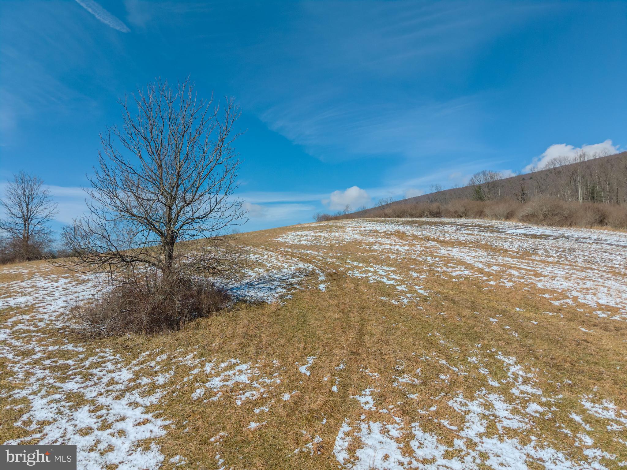 NONE AVAILABLE - Commercial Sale