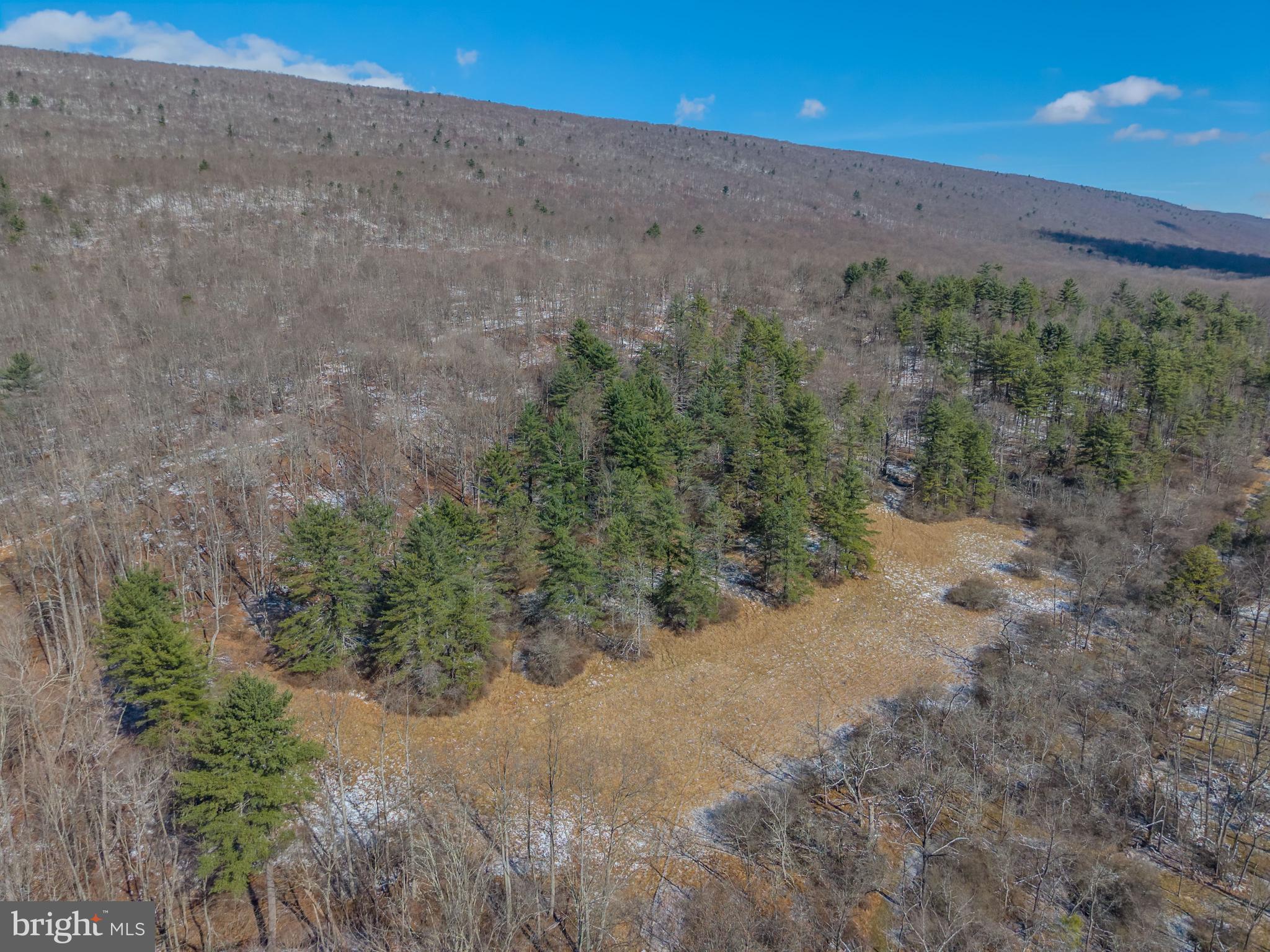 NONE AVAILABLE - Commercial Sale