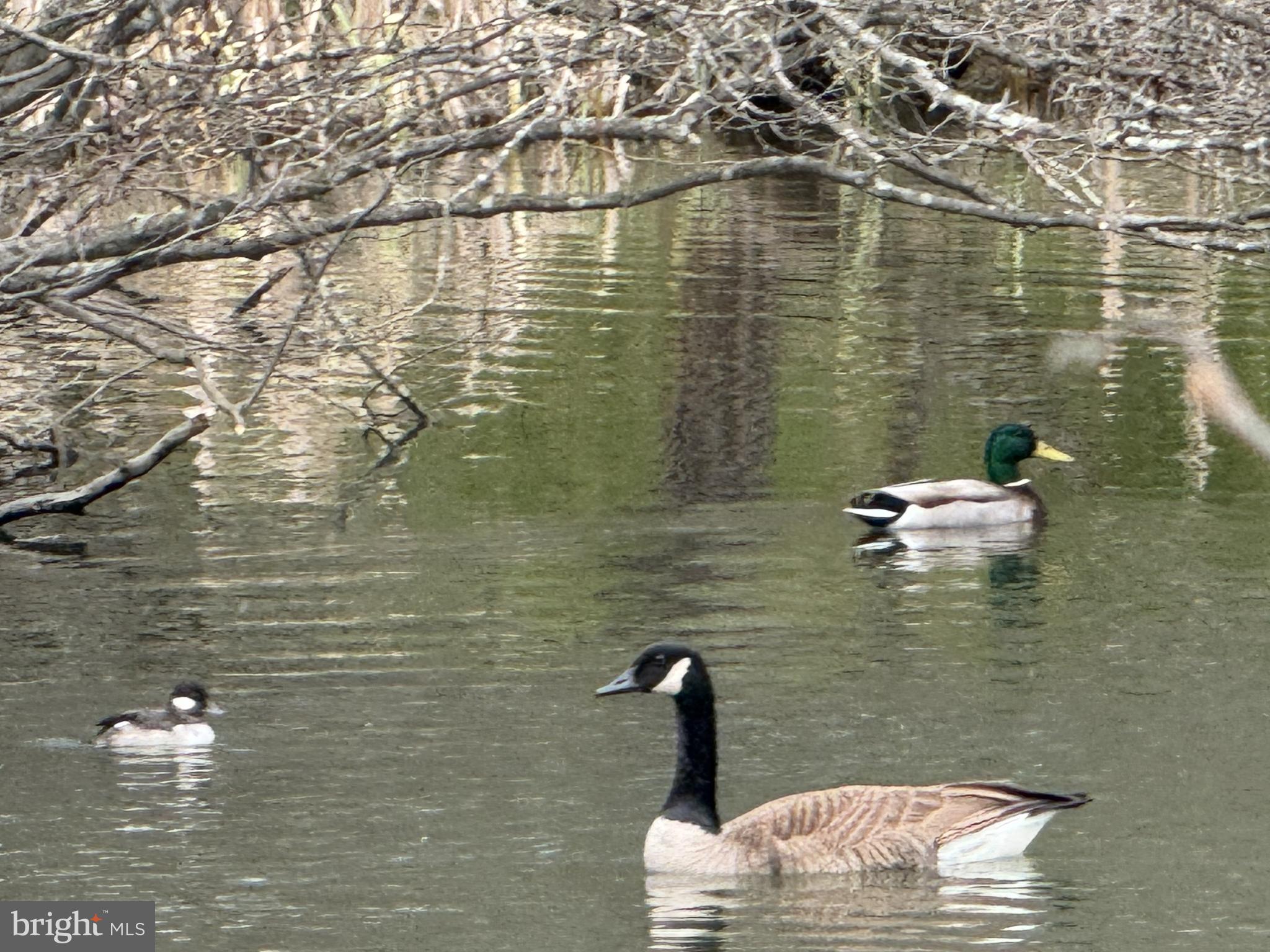 NONE AVAILABLE - Commercial Sale