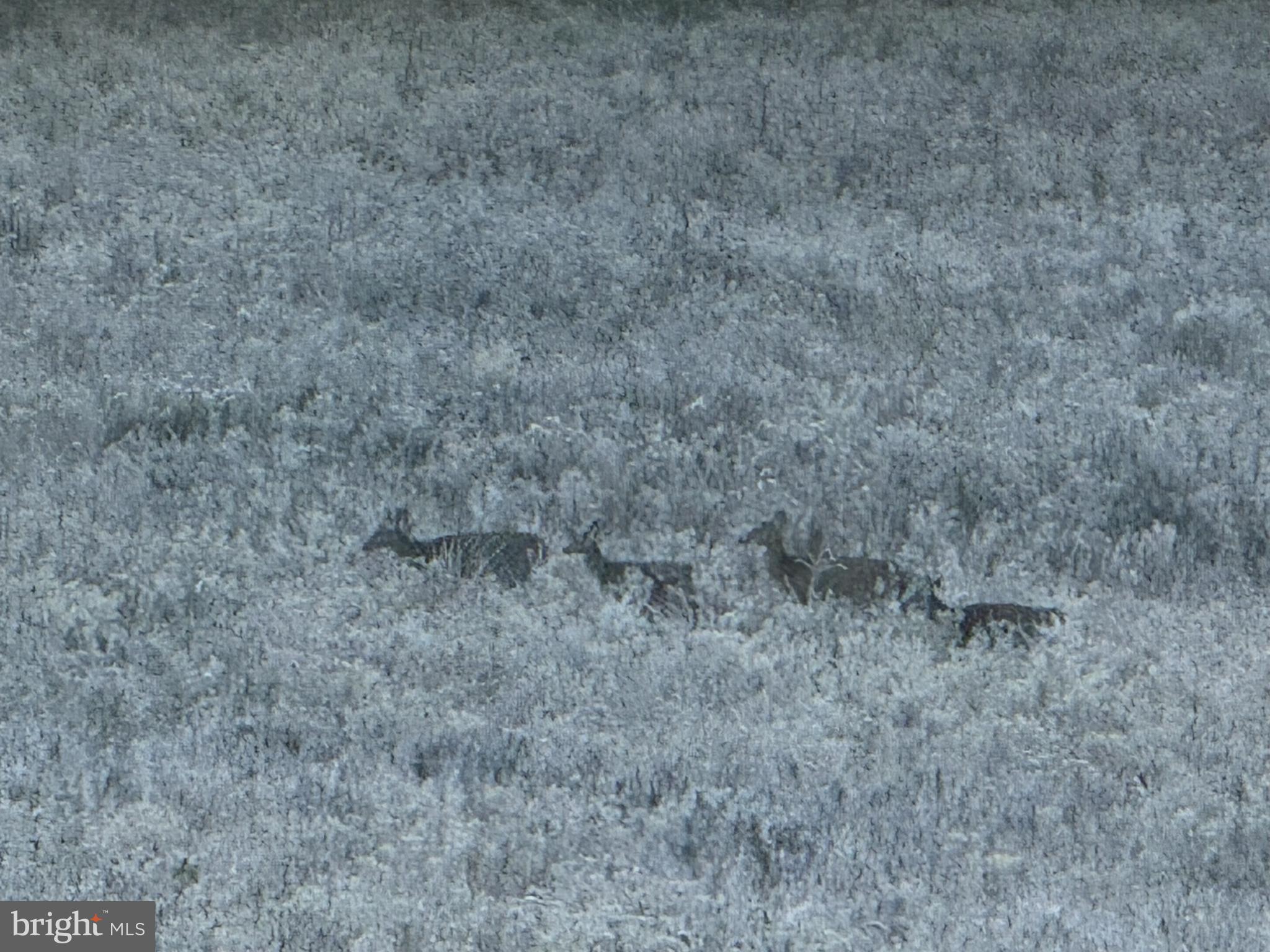 NONE AVAILABLE - Commercial Sale