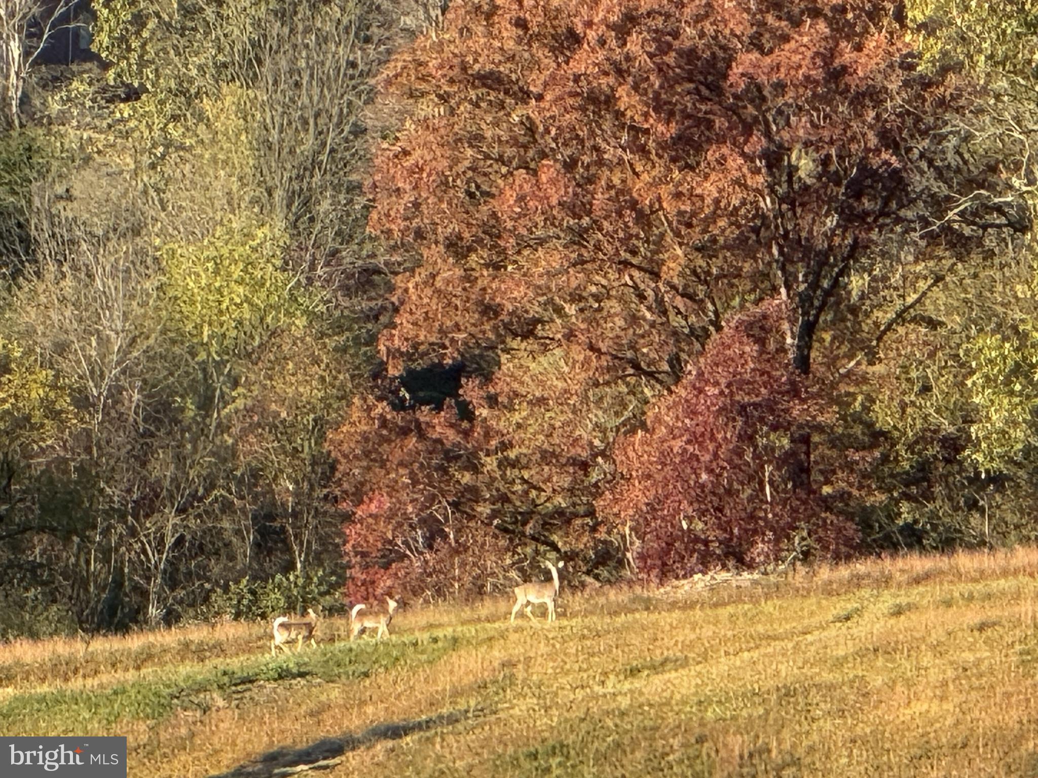 NONE AVAILABLE - Commercial Sale