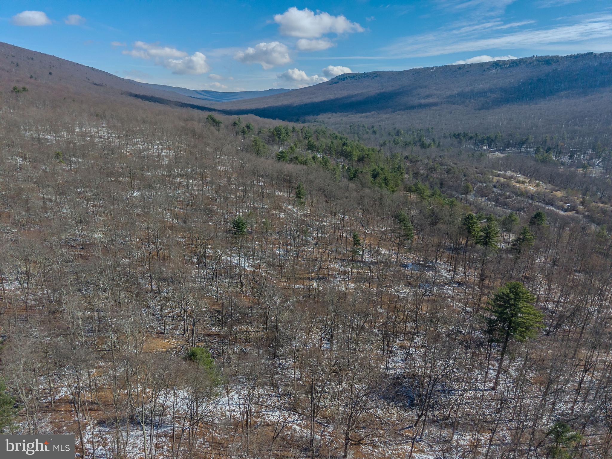 NONE AVAILABLE - Commercial Sale