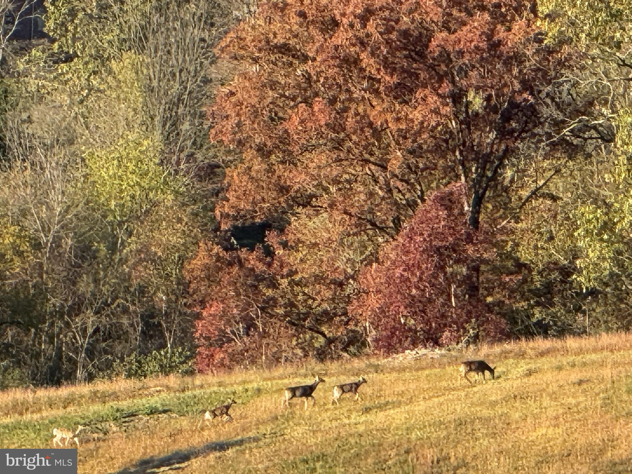 NONE AVAILABLE - Commercial Sale