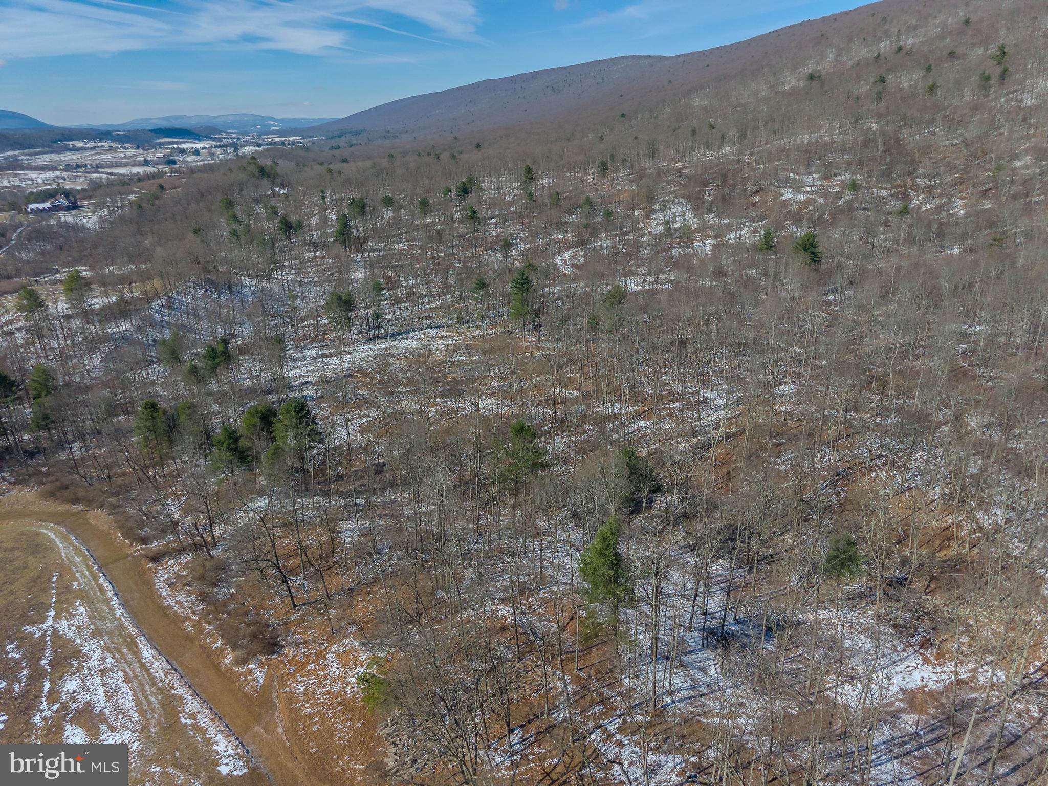 NONE AVAILABLE - Commercial Sale