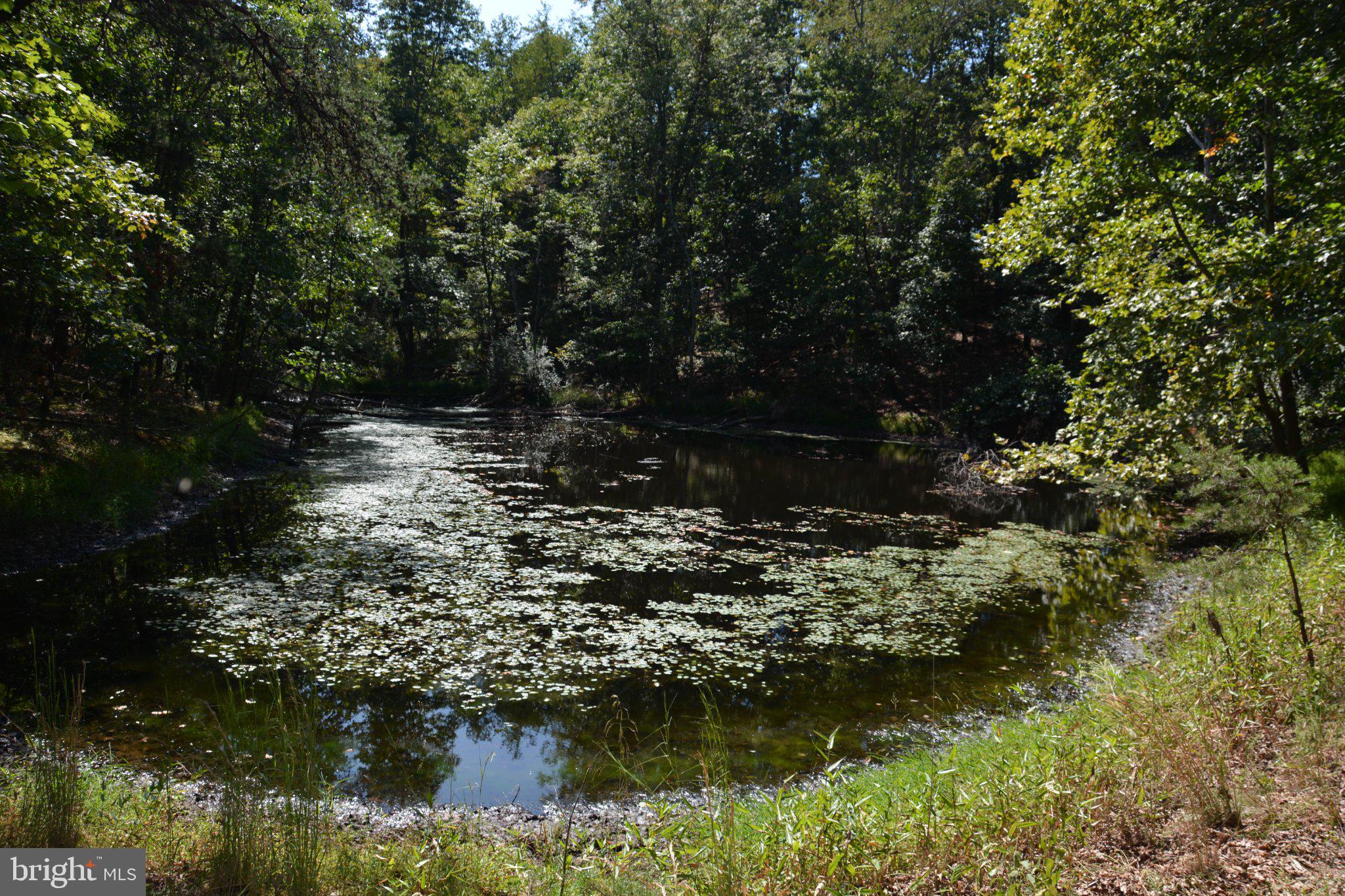 3016 SILER ROAD