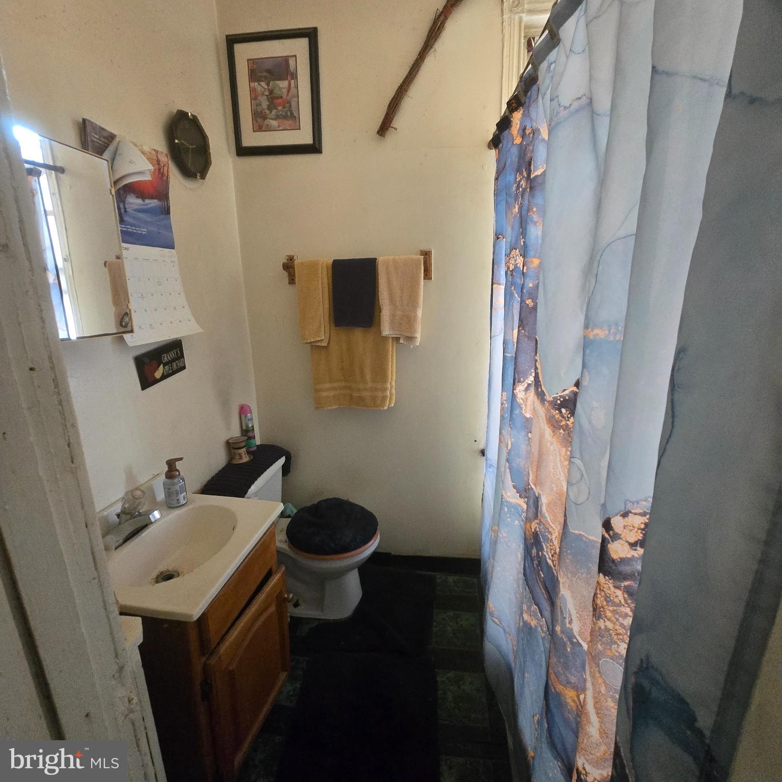 STRAWBERRY MANSION - Residential