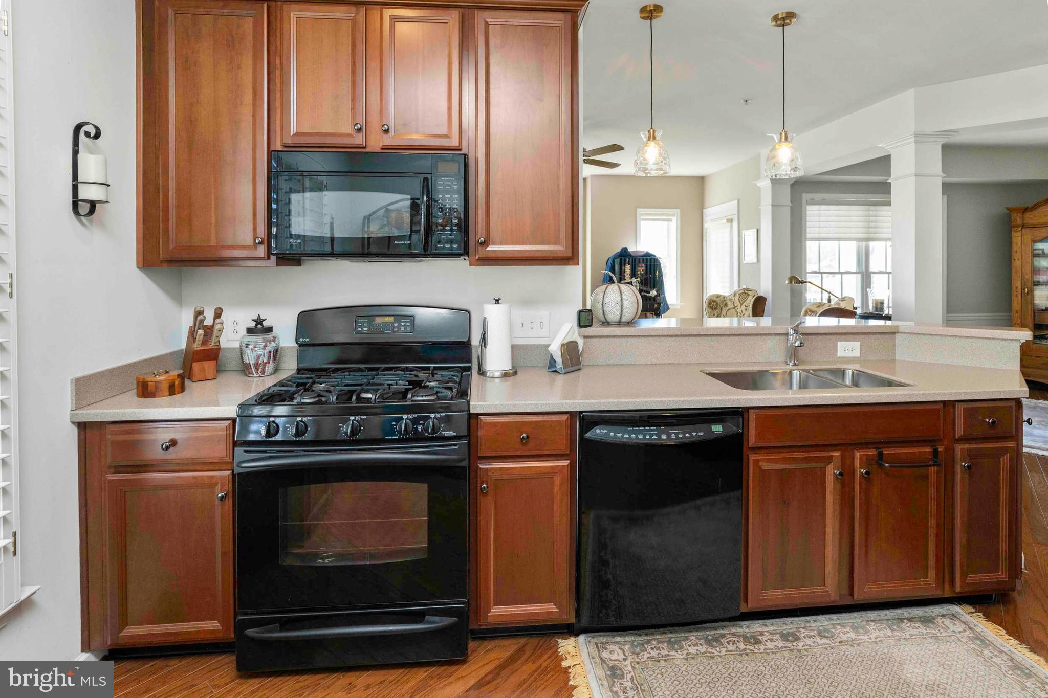 RESERVE AT GWYNEDD - Residential