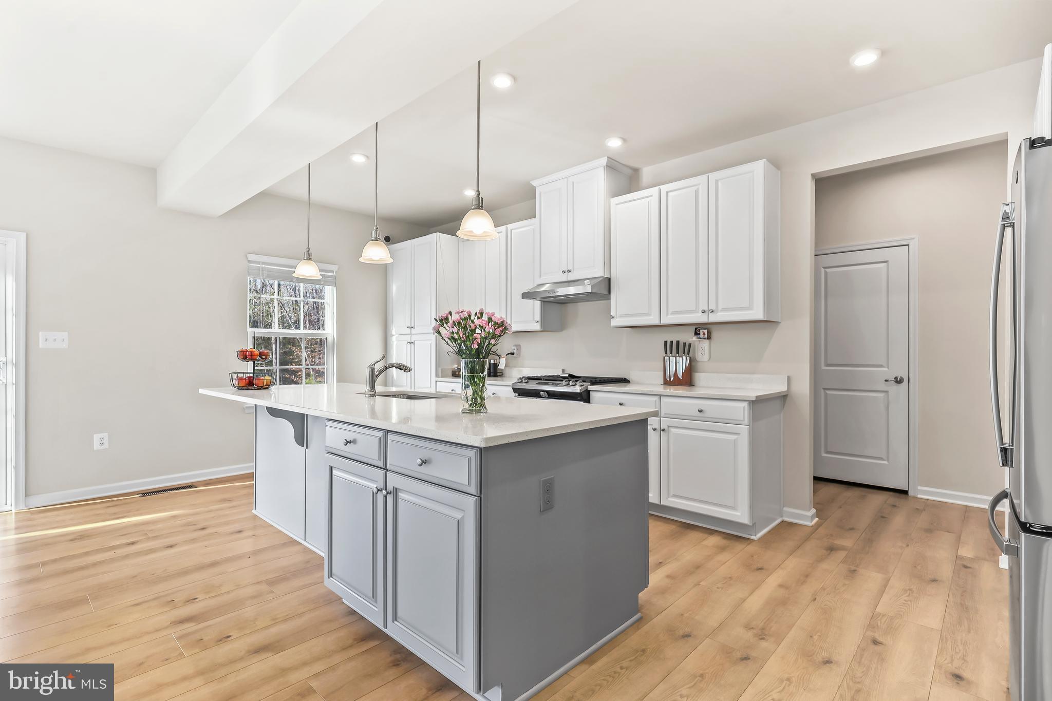 THE FALLS AT LEE'S PARKE - Residential