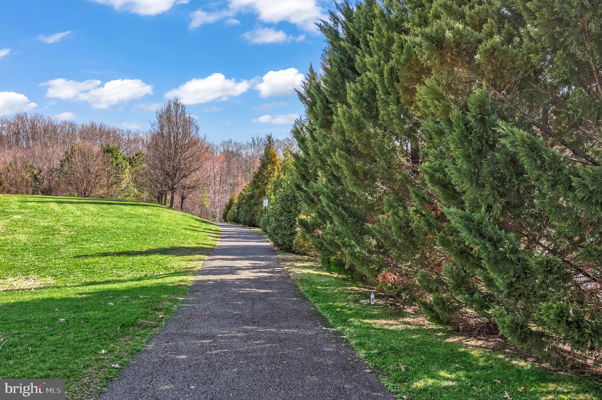 THE FALLS AT LEE'S PARKE - Residential
