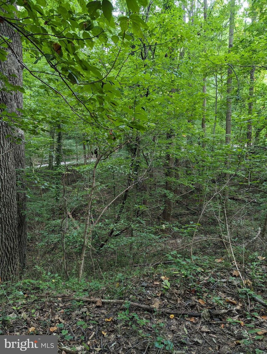 This is Raw land has not been perced. Wanting seclusion and peace this property located .5 mile from the boat inlet for the Susquehanna River.  the roads are homeowner maintained roads.  All utility services including internet are to be verified by buyer.
please note the tax discription is wrong in the public records per the MLS.
From rte 74 turn onto Papermill Rd. make a sharp right onto Smith Rd follow down property is directly across from the pong on the corner of Smith and Clark. Turn left on Clark and Driveway is on the left hand side.