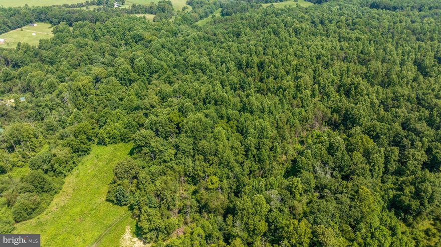 Country/Lake living ready for you! This 6.9-acre lot on Hunters Ridge Lane is one of only six exclusive home sites. Private entrance and road are in place, running directly to the lot for easy access. Lot has been soil tested and approved for a 4-bedroom conventional drainfield—all documentation available. 

Bring your own builder or have Back Road Builders build their Ava model. (See residential listing MLS# VAOR2010628 for “to be built” option.)

Close to Lake Anna, Christopher Run boat launch, Tim’s at Lake Anna, Chateau MerrillAnne, and Cooling Pond Brewery. Build your dream home in this peaceful setting while still enjoying close proximity to amenities.