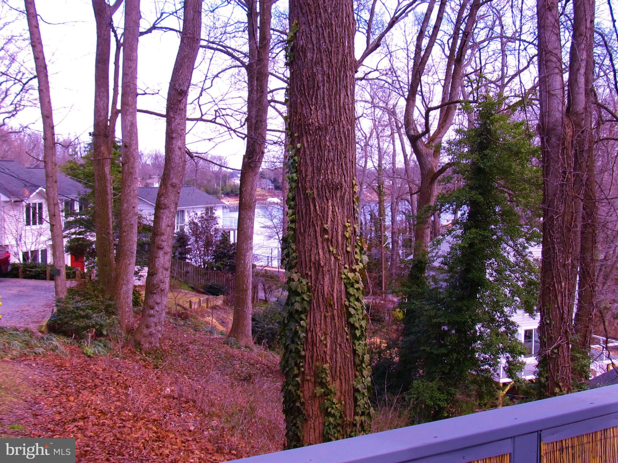 HERALD HARBOR - Residential Lease