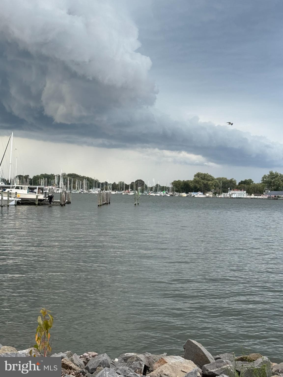 ARK HAVEN - Residential