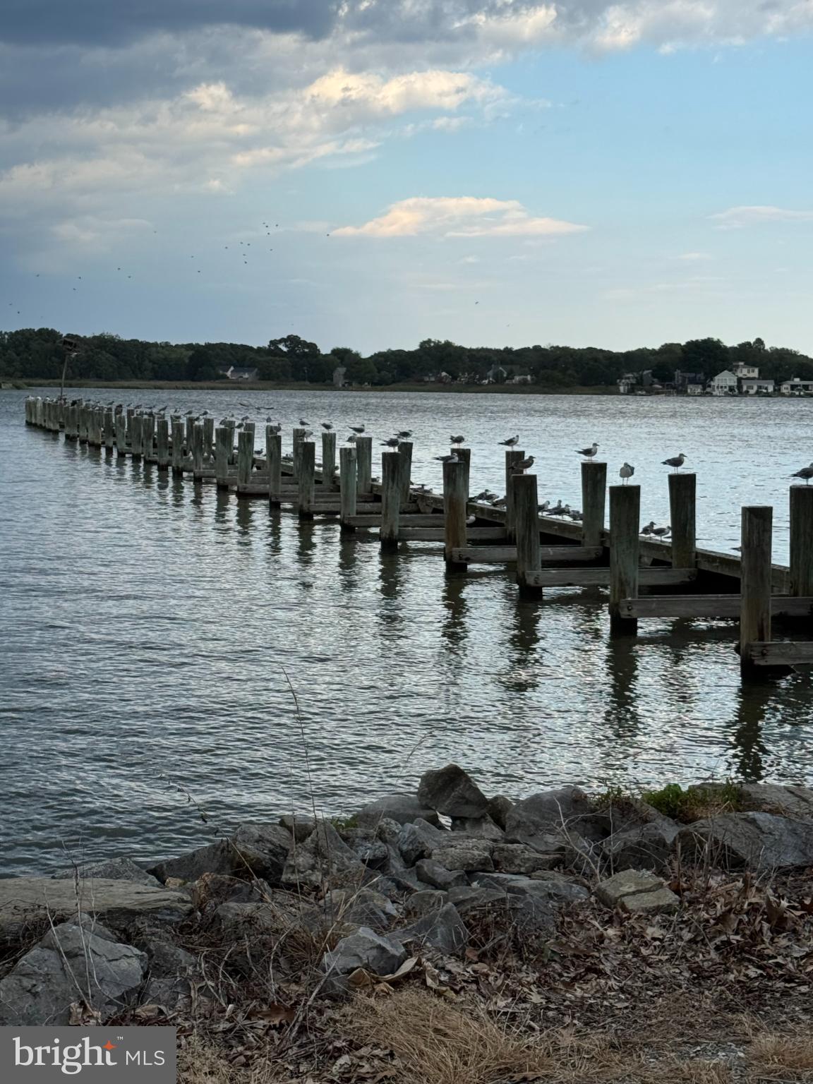 ARK HAVEN - Residential