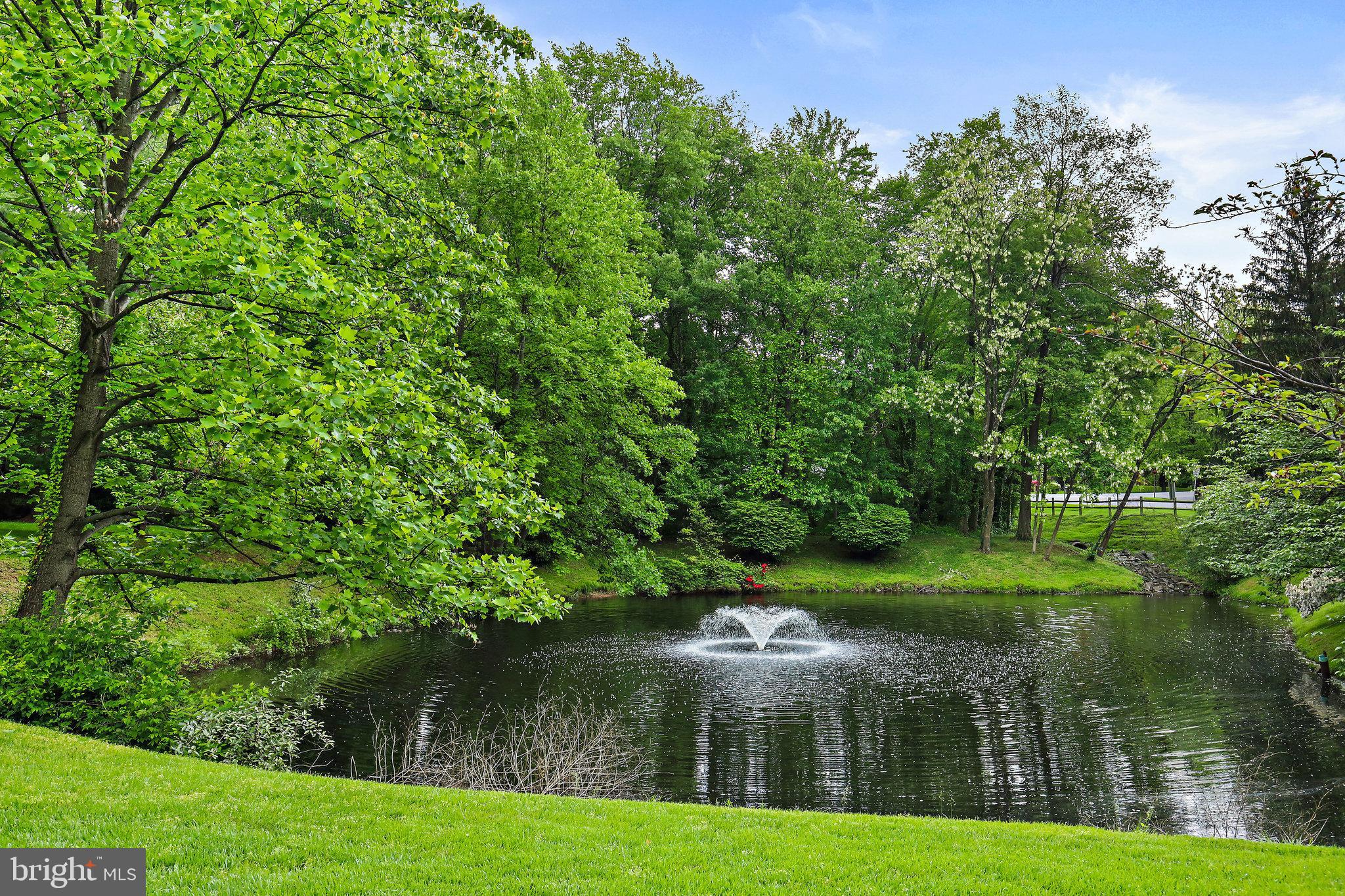 WILLIAMSBURG POND - Residential