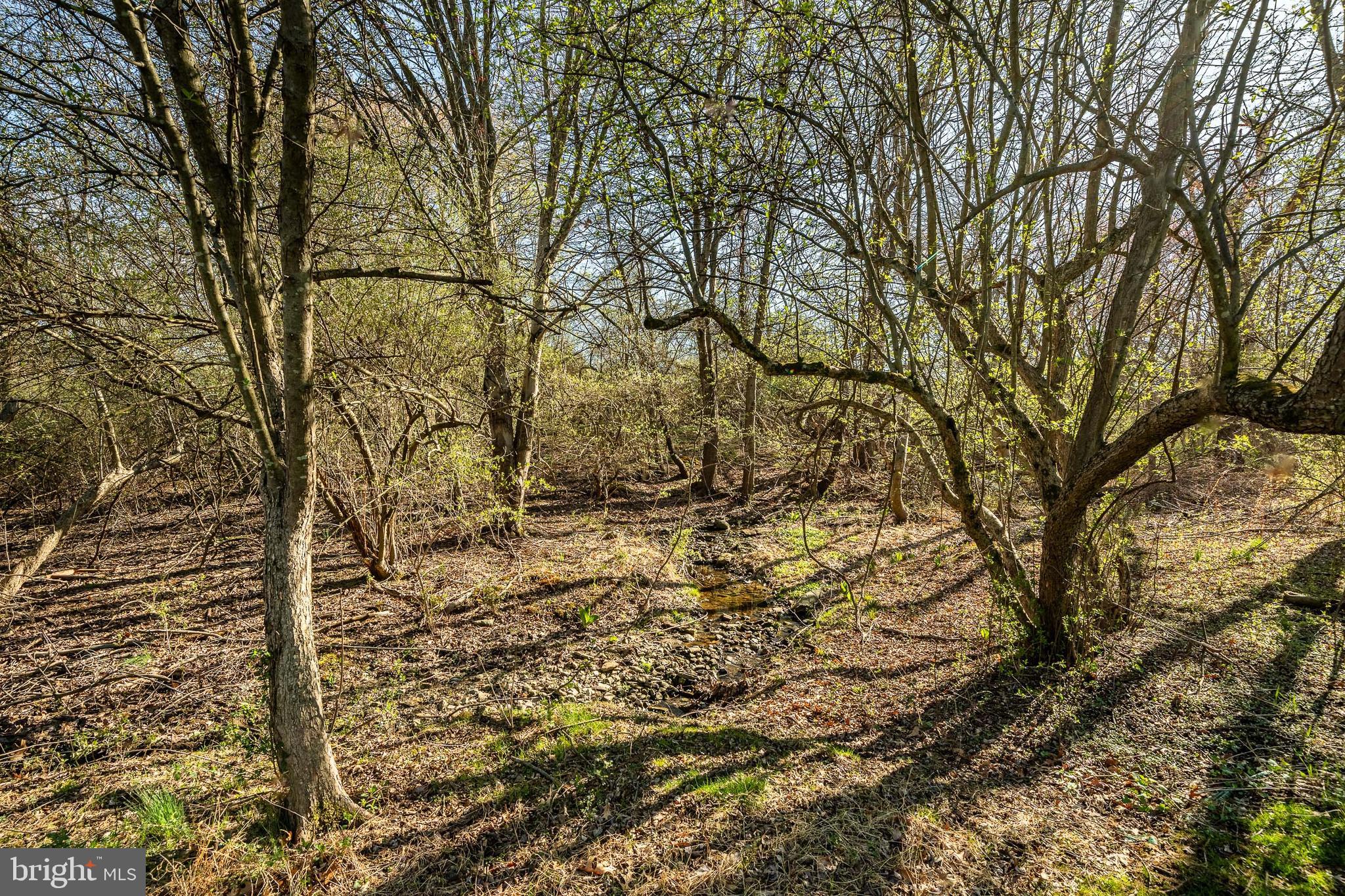 GREEN LANE VILLAGE - Residential