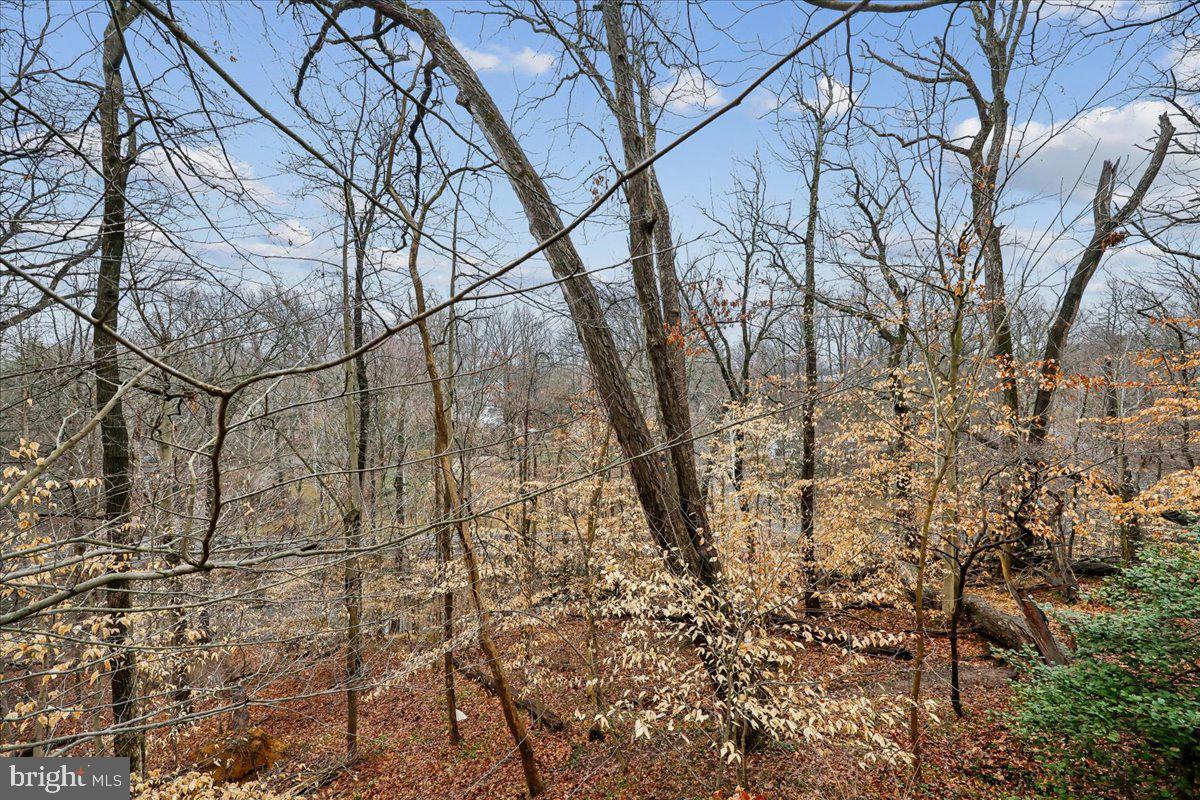 TAKOMA PARK - Residential Income