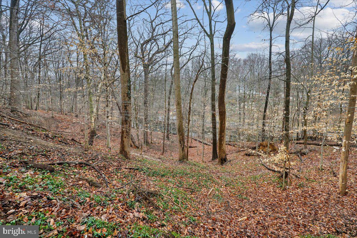 TAKOMA PARK - Residential Income