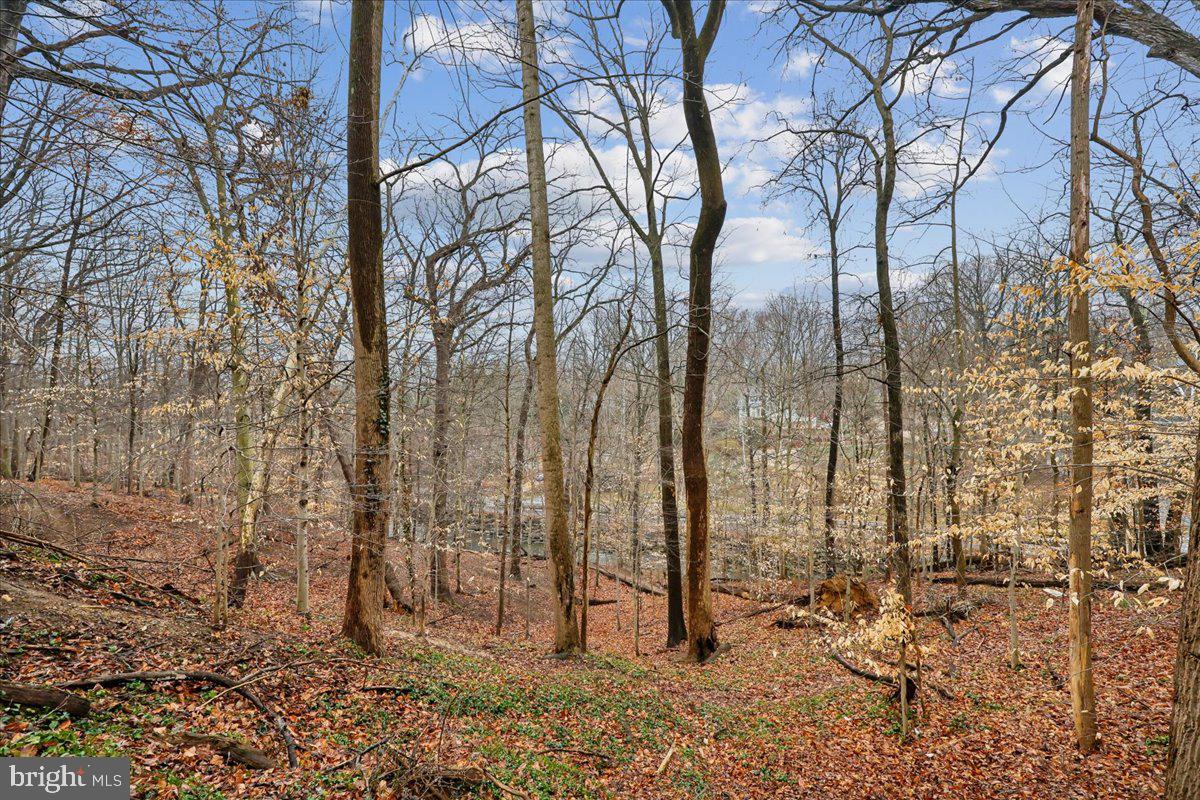 TAKOMA PARK - Residential Income