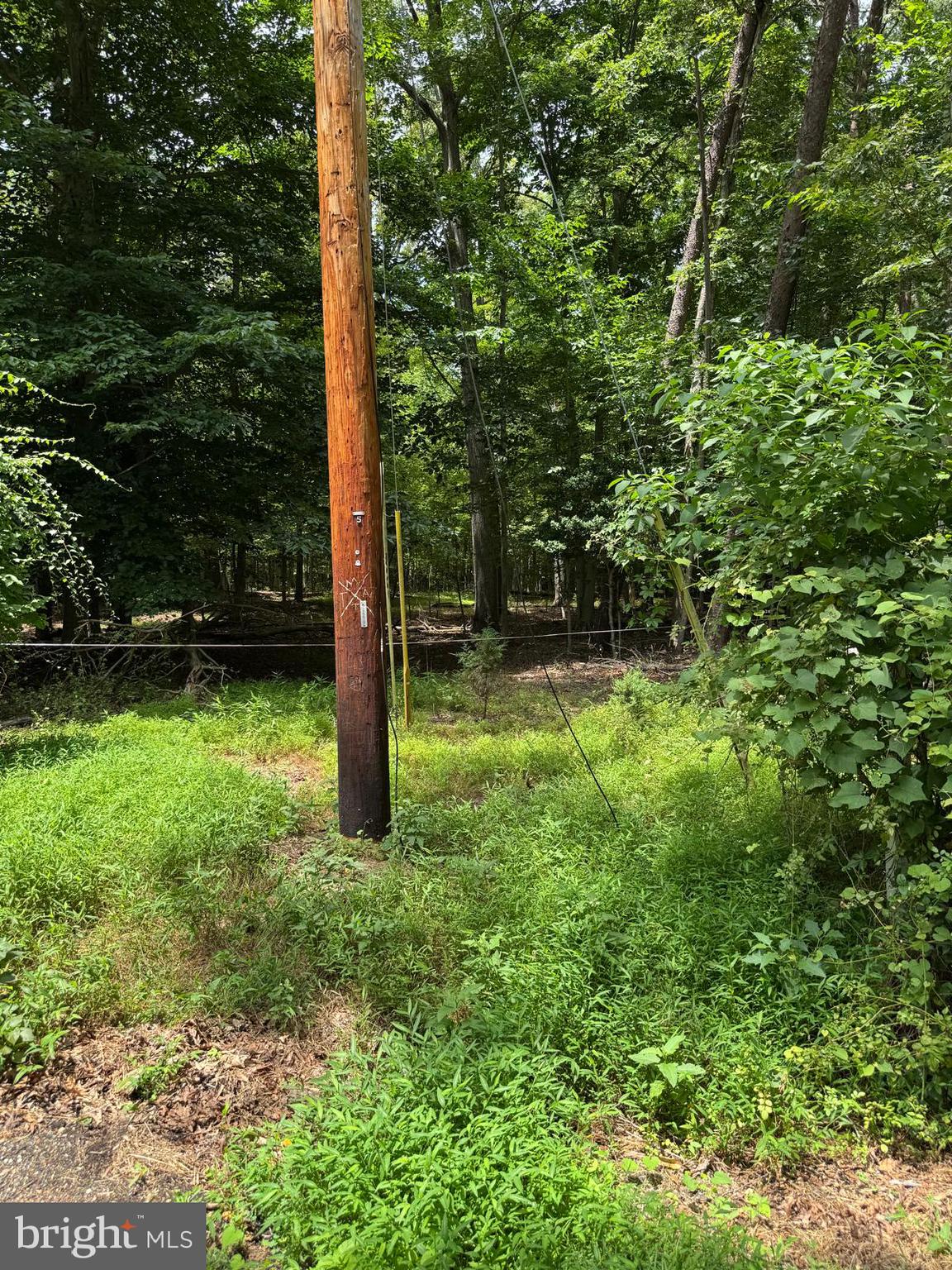 1901 ACCOKEEK ROAD W