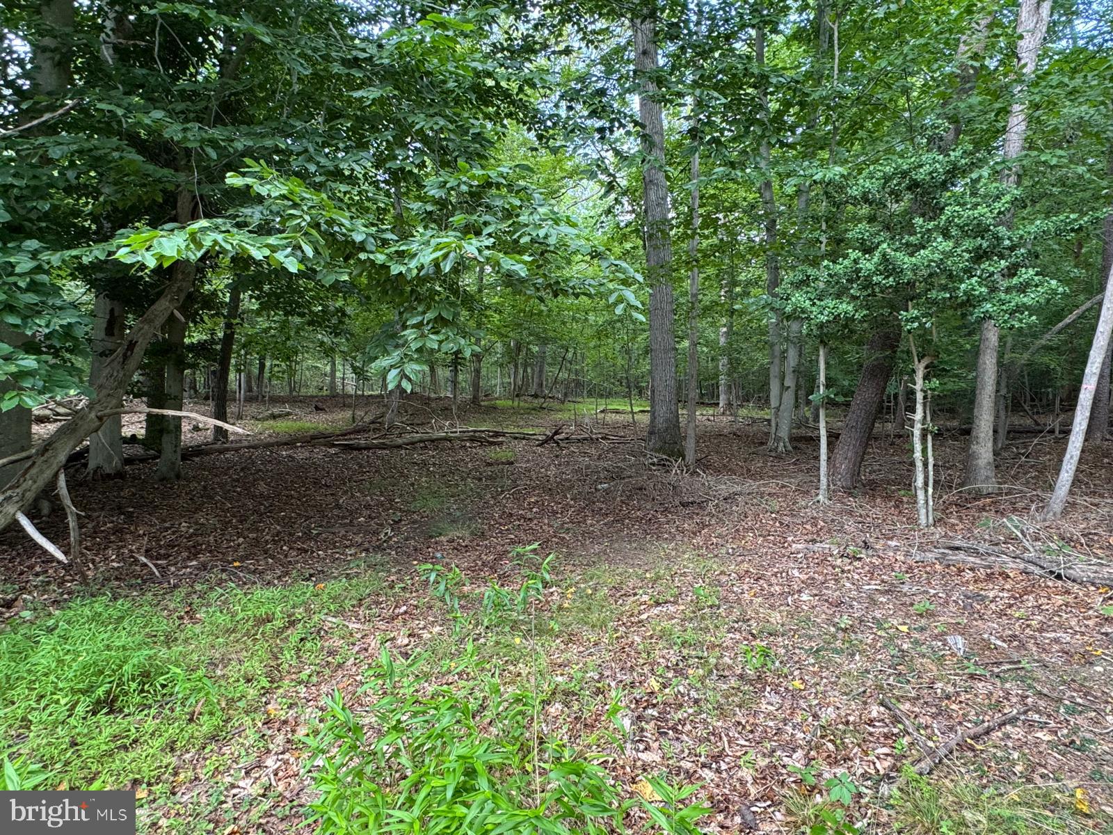 1901 ACCOKEEK ROAD W