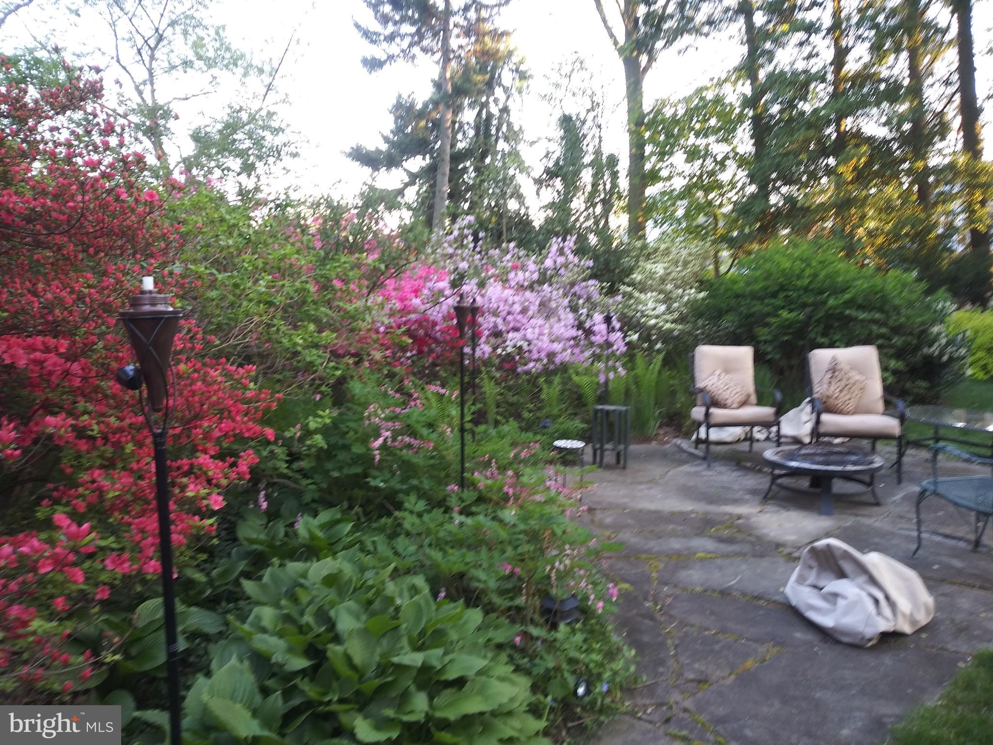 CHELTENHAM VIL - Residential