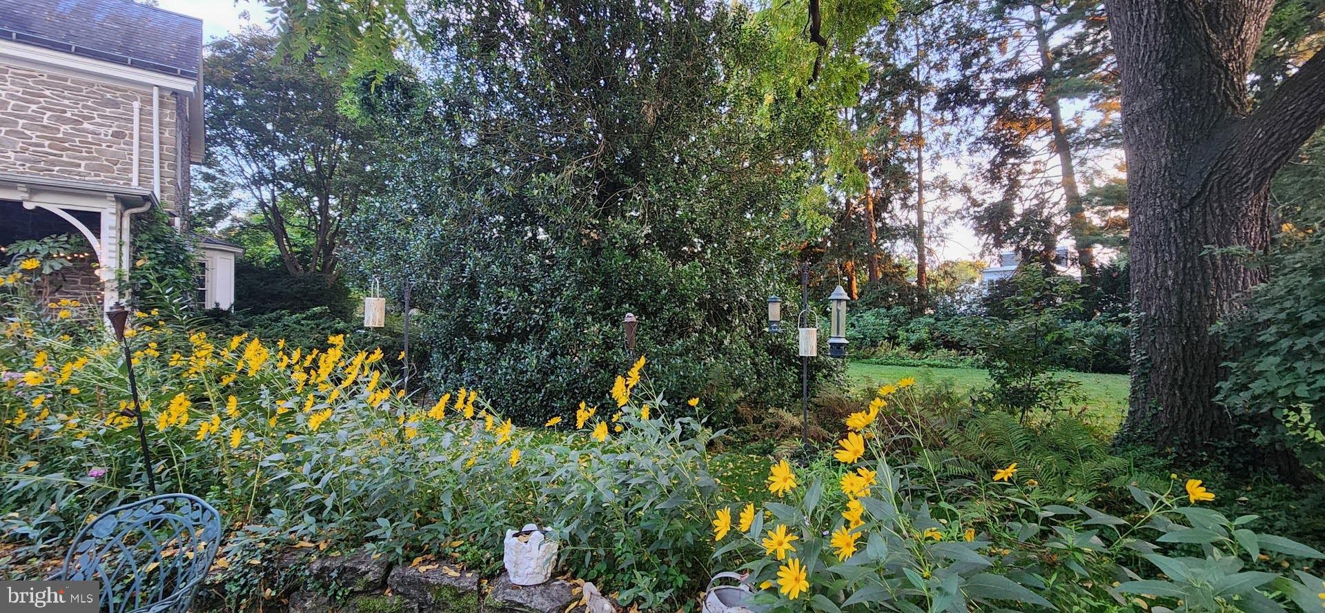 CHELTENHAM VIL - Residential