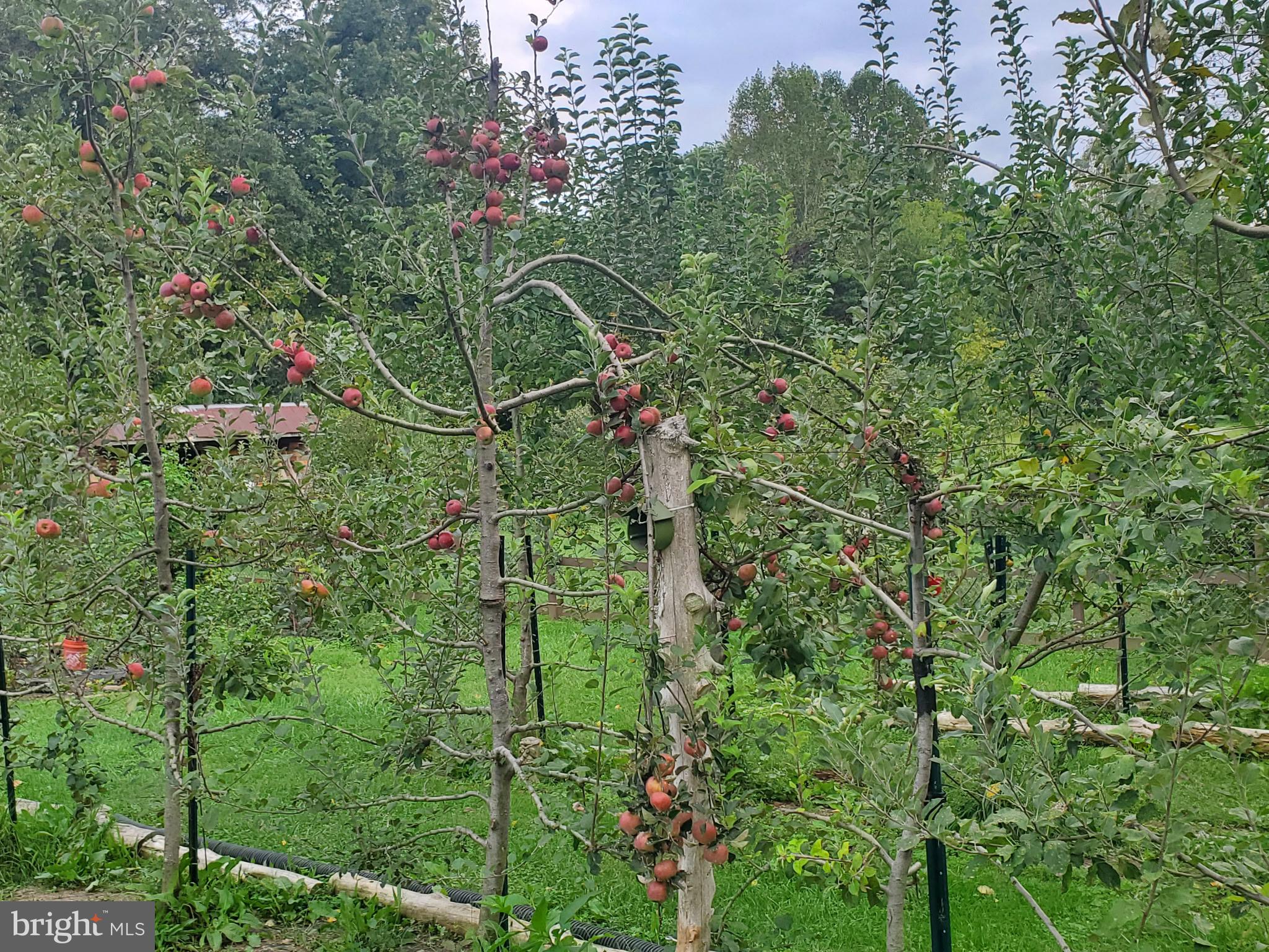 BRIDLEPATH ESTATES - Residential