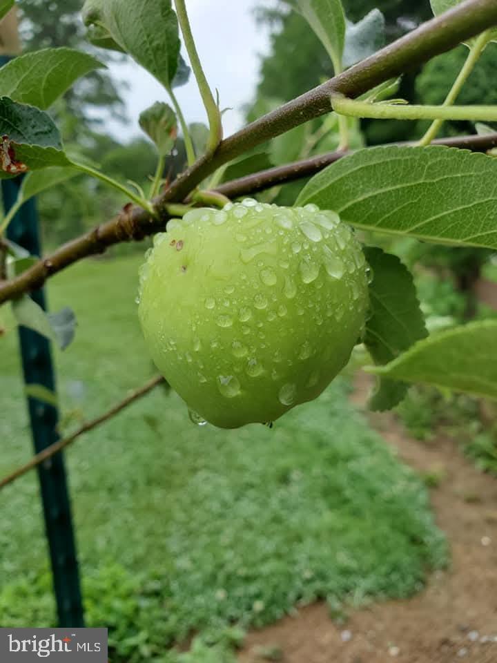 BRIDLEPATH ESTATES - Residential