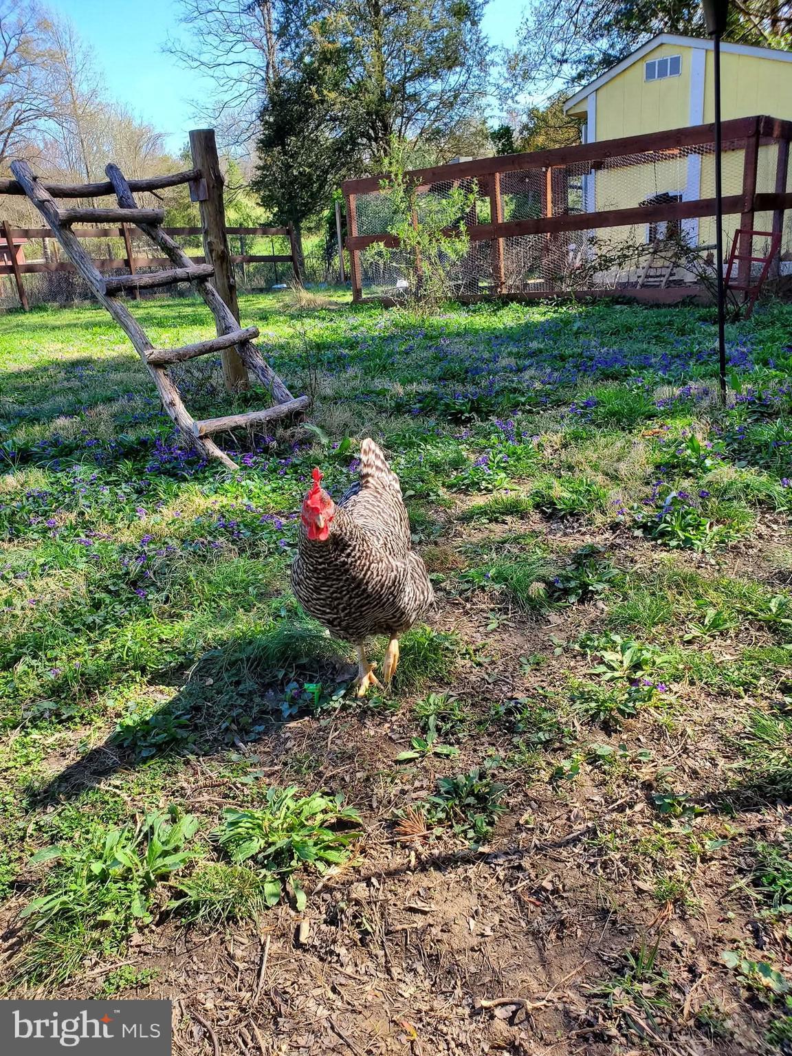 BRIDLEPATH ESTATES - Residential