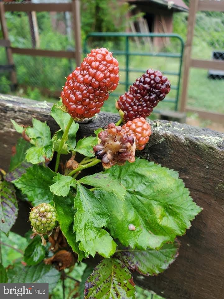 BRIDLEPATH ESTATES - Residential