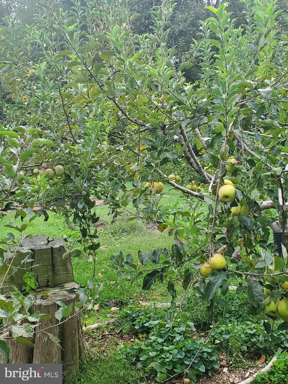 BRIDLEPATH ESTATES - Residential