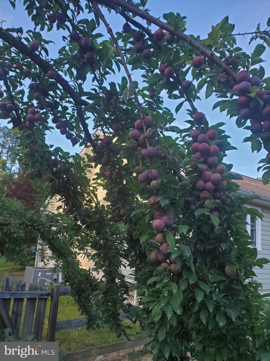 BRIDLEPATH ESTATES - Residential