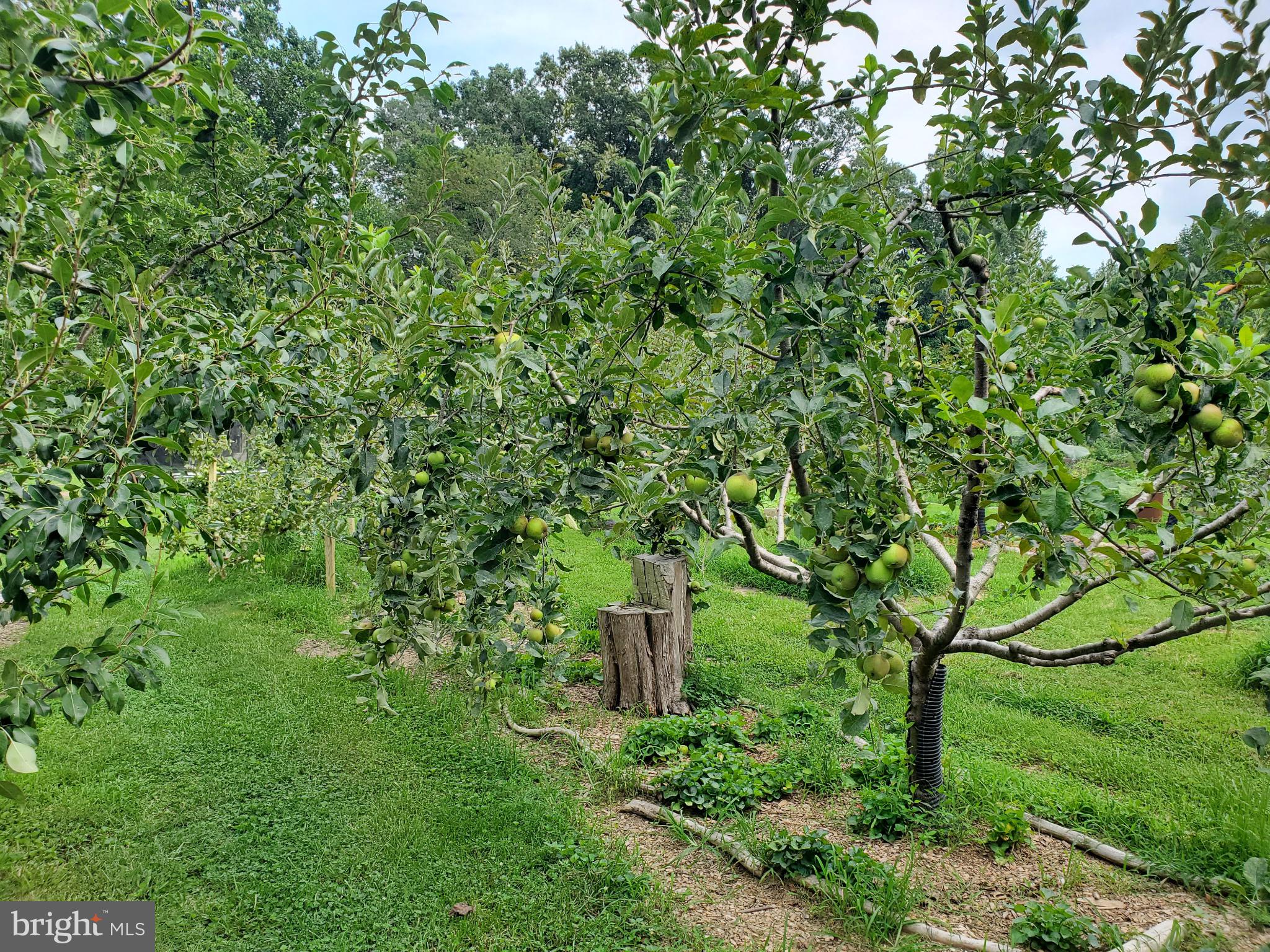 BRIDLEPATH ESTATES - Residential