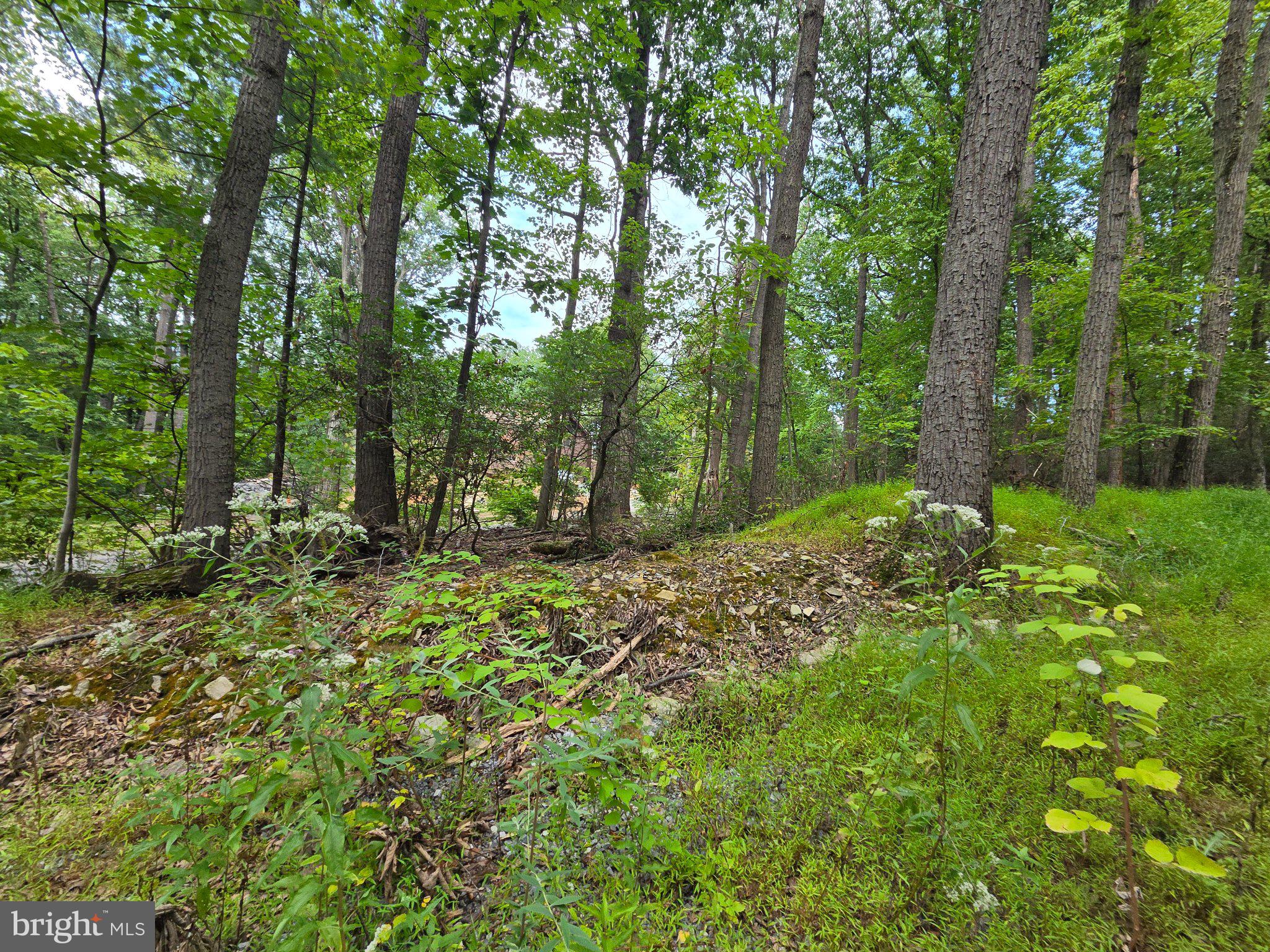 Lot 65 MOCKINGBIRD DRIVE